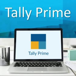 Tally Prime with GST